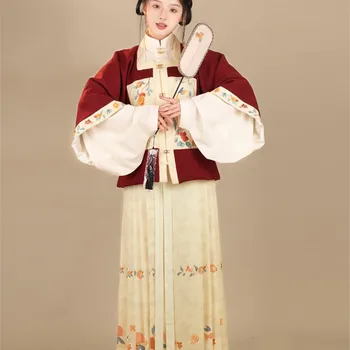 Originalus Hanfu Suknelė Ming Dinastijos Hanfu Rudenį, Žiemą Kasdien Moterys Naujųjų Metų Sveikinimo Suknelė Arklys Veido Sijonas Mamian Suknelė, Kostiumas